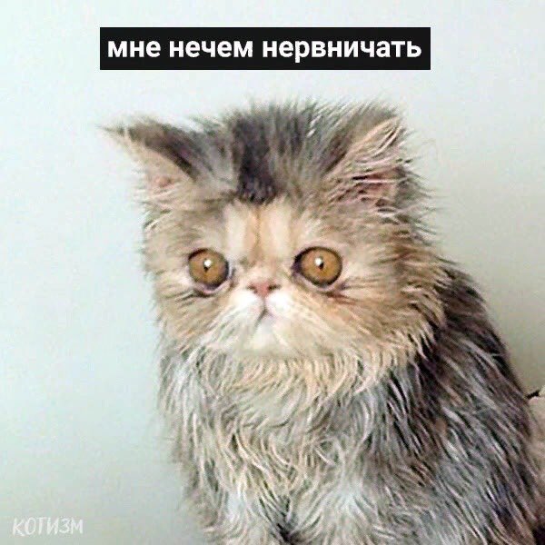 мама такая спрашивает че я спокойная а я просто уже