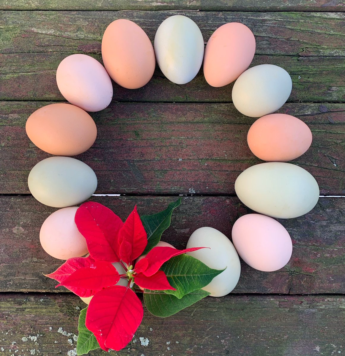 ohjoliecatering's tweet photo. Happy Holidays from our family to yours! https://t.co/VzvuxXGPUz