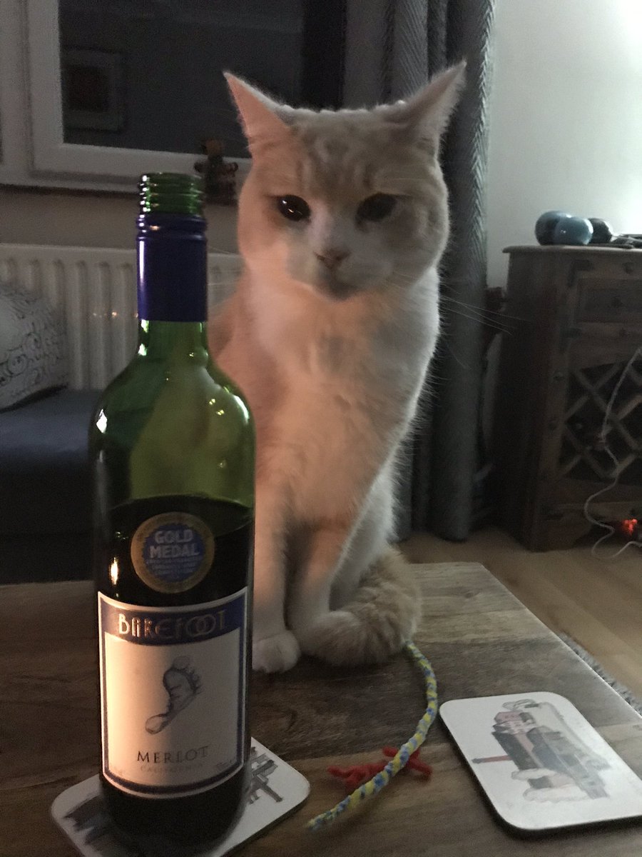 SonjMac's tweet photo. @BarefootWine I think Bob approves of mine and @stevemac17  ‘s choice of wine this evening. https://t.co/mp5fhhaZCy