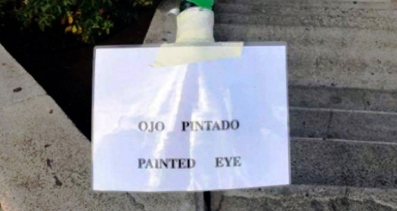 caalf01's tweet photo. -¿Cómo se dije "ojo" en inglés?
-"Eye"
-¡Ah, ok, gracias! https://t.co/kaprRrt5vm