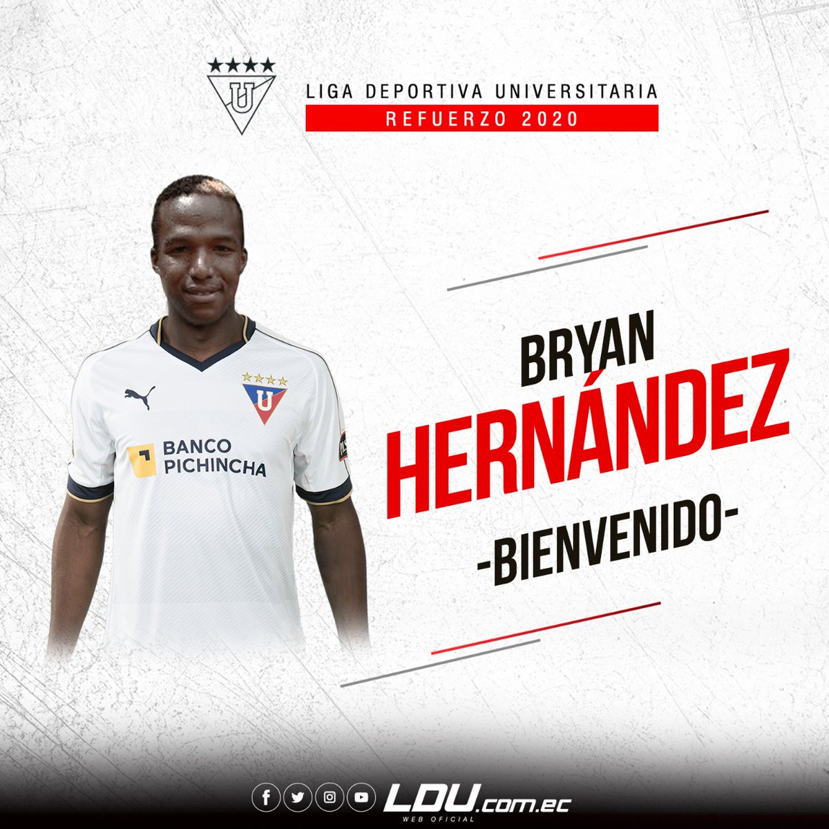 LDU_Oficial's tweet photo. ¡Cuatro jóvenes promesas, ecuatorianos con sed de gloria, se suman a nuestro plantel!
Ronny Medina y Bryan Hernández, provenientes del Club América.
Luis Arce llega de El Nacional y Davinson Jama de Fuerza Amarilla 
¡Bienvenidos al Rey de Copas! https://t.co/T8HRsqMbik