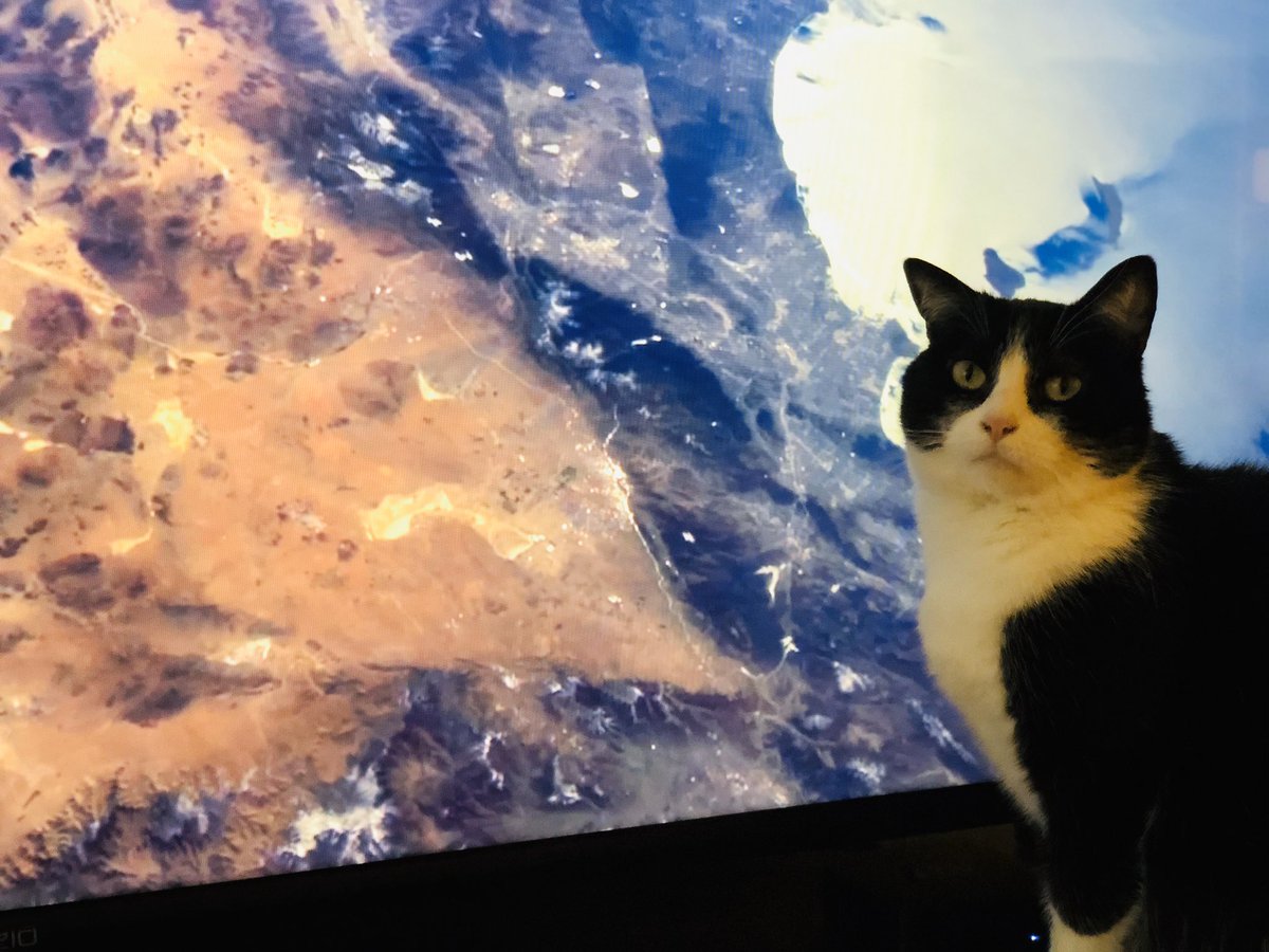 Oswald Cobblepot wants to be an astronaut.