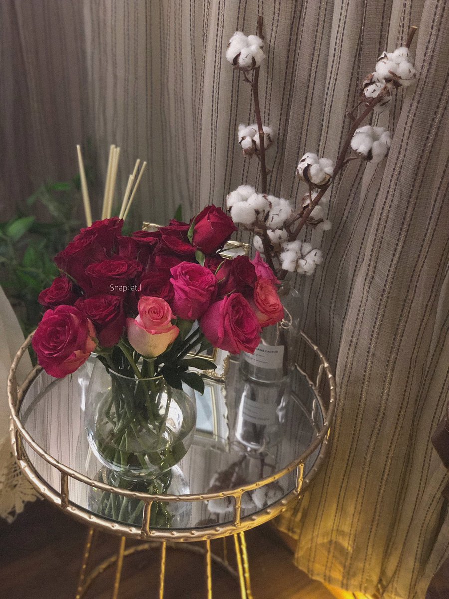 latxll's tweet photo. -وكأنك مَدينة ورد بعمق قلبّي لاتذبل ابداً كأنك حياة تتورد بي..🌱 https://t.co/u2WgHKpuQB