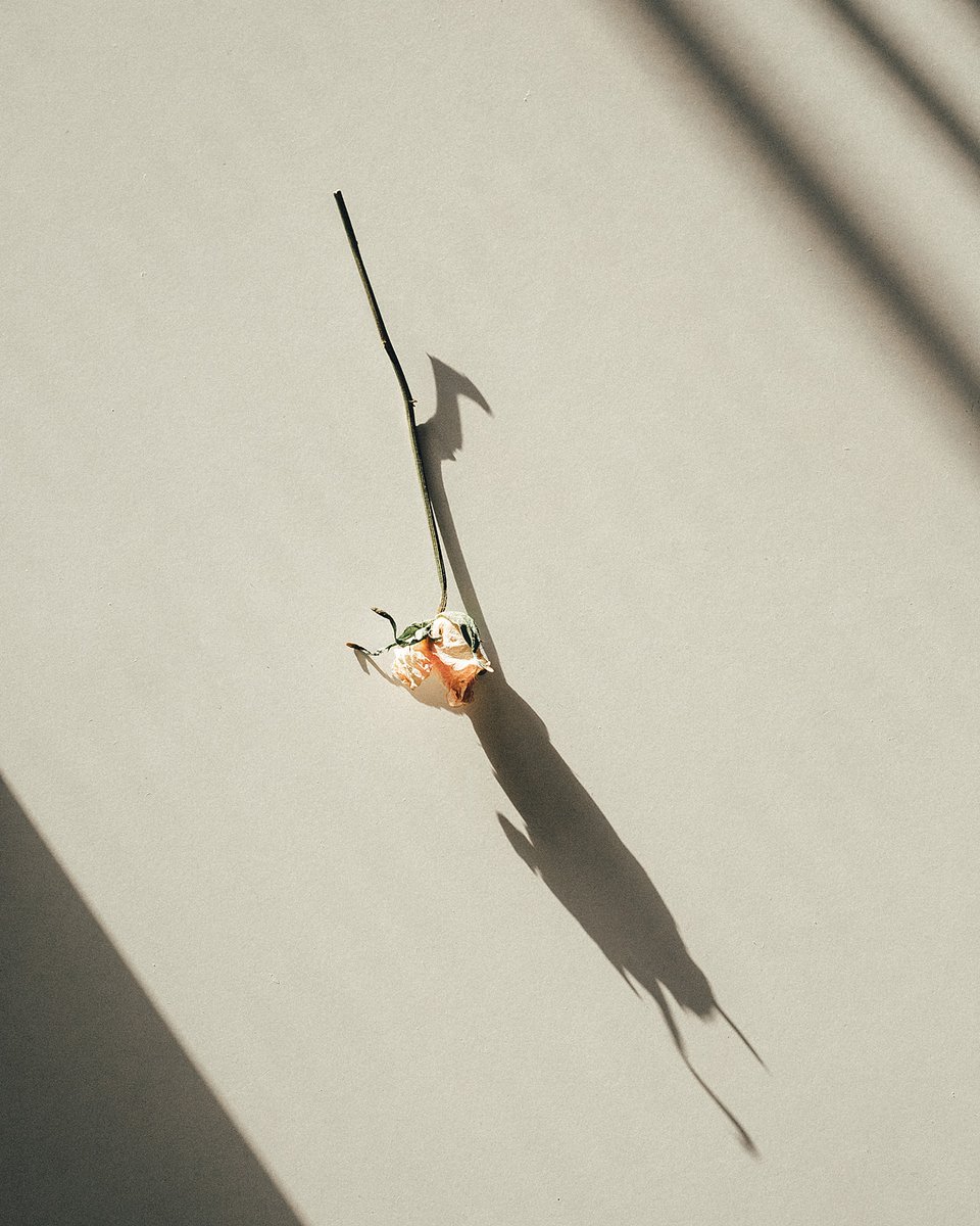 Mood: Selfish. #Gift yourself some time, some space, and maybe a few new #selfcare #presents. Find them on The Blog - bit.ly/2PQsIED #holidayseason #thedreslyn