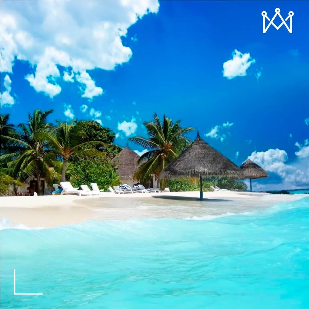 PrimeLuxuryRent's tweet photo. WHO´S READY?🏝️ Paradise on earth #KeyWest ! Your yacht tour with Prime is also perfect for:
▫️ Exploring
▫️ Snorkeling
▫️ Scuba Diving
▫️ Fishing
#miamikeys #DjKhaled #Fun #MiamiStyle https://t.co/2oQoeB8TM2