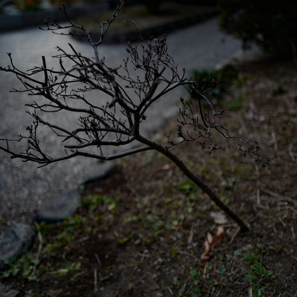 JapanesePhotos_'s tweet image. #streetphotography #tokyo #aipos