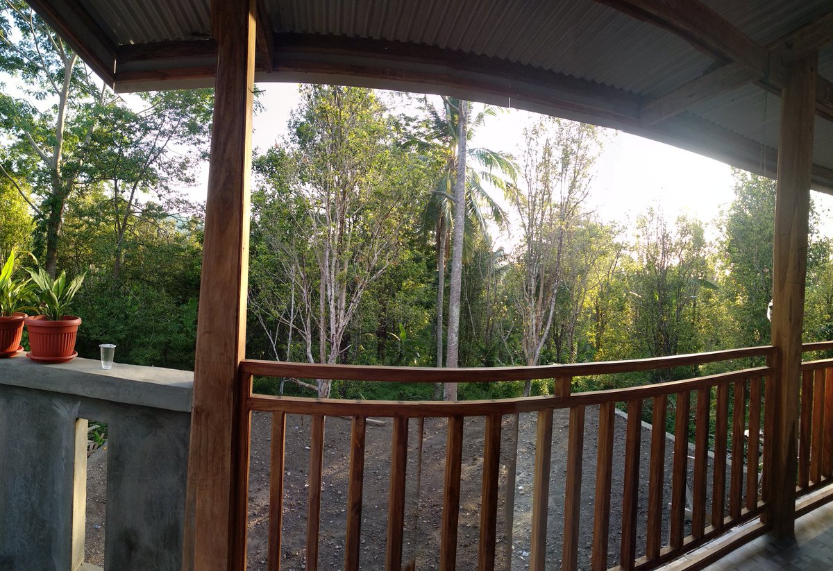 Dedy Afriadi tweet media