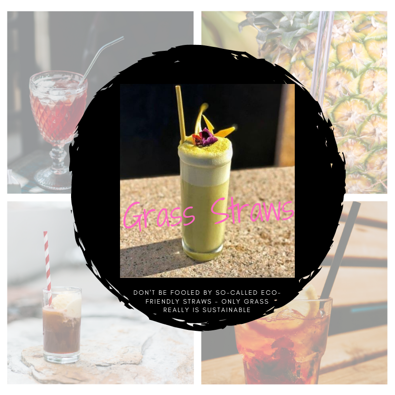 OaZis_AU's tweet photo. You want to switch to #ecofriendly  #straw that is fantastic. but don't get #fooled There is only ONE #Alternative on the market that is
✅#organic
✅#chemical-free
✅home #compostable
✅#glutenfree
✅#zero-impact production
🐢turtle-safe
#party #ChristmasEveEve #Christmas https://t.co/6mfWRBy62J