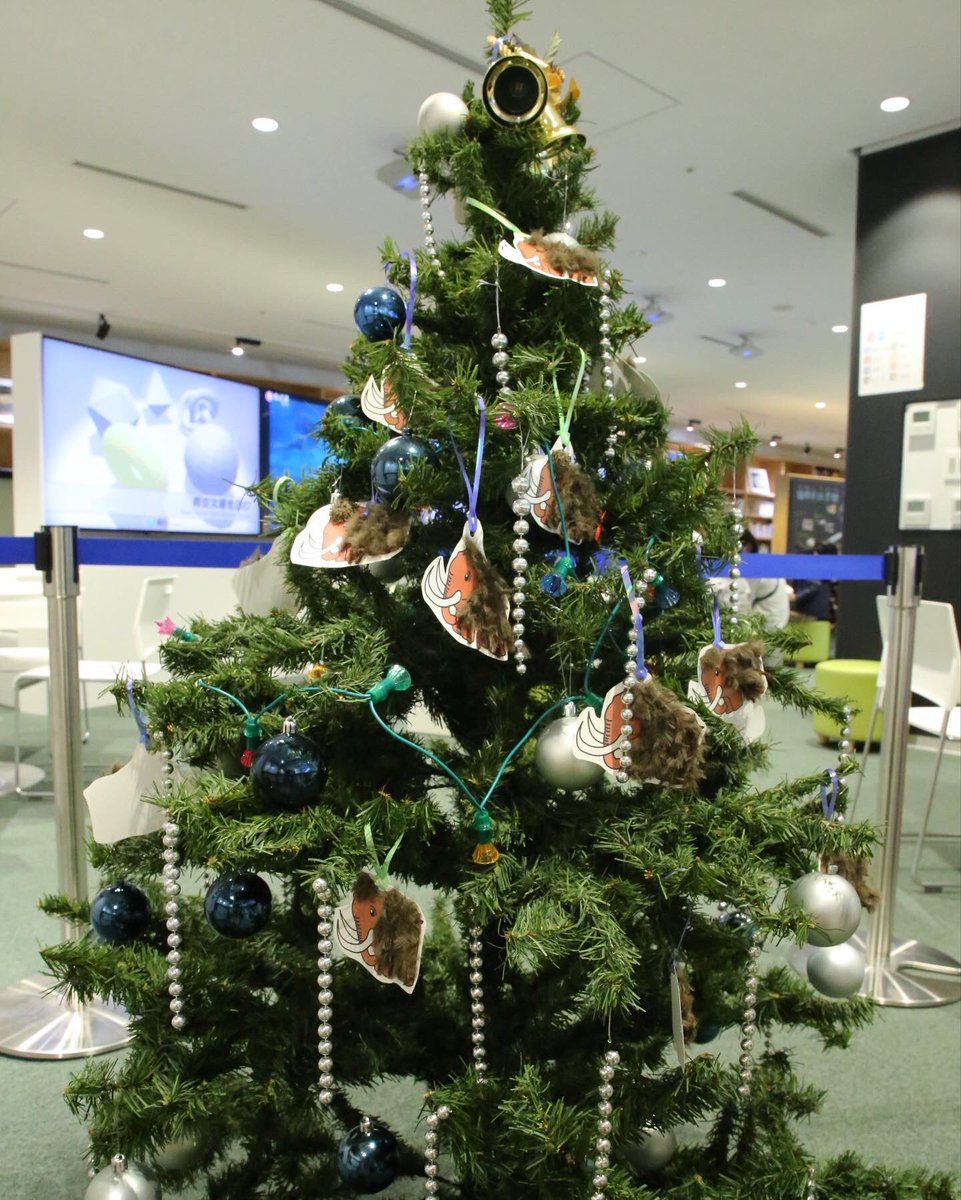 福岡市科学館 公式 Twitterren クリスマス マンモス 本日から冬休み 本日も9 30より開館いたします サイエンスナビ 福岡市科学館 マンモス 冬休み クリスマス クリスマスツリー Christmas 福岡市科学館 公式 Twitterren クリスマス マンモス 本日から冬休み 本日も9 30より開館いたします サイエンスナビ 福岡市科学館 マンモス 冬休み クリスマス クリスマスツリー Christmas