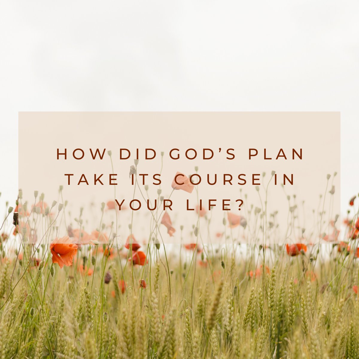 DeanSchramm's tweet photo. #QuestionoftheDay https://t.co/kOdRr74j89