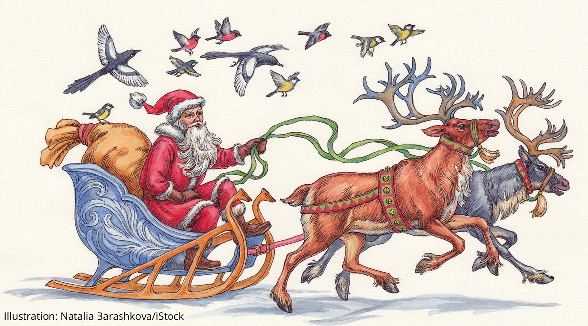 audubonsociety's tweet photo. How many bird species does the globe-trotting, time-bending Santa Claus see on the quintessential Christmas Bird Count? @TheBirdist did the math so you don't have to: https://t.co/u2lV3EvTFs https://t.co/GNuJe6EtkG
