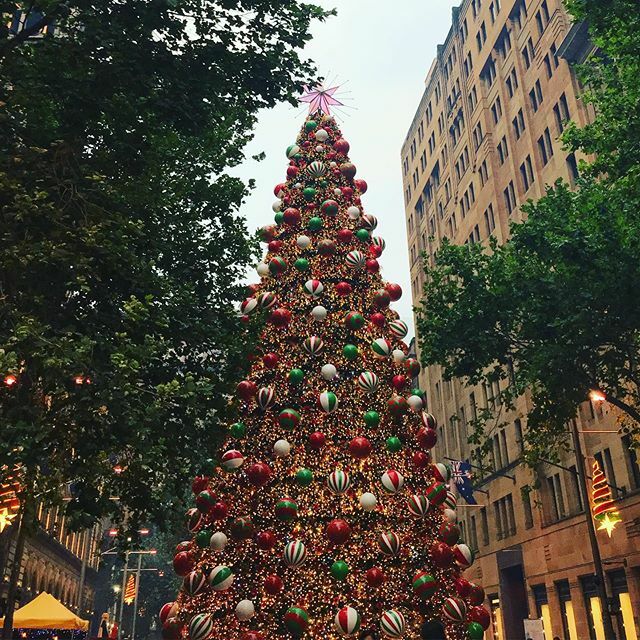 bendandmend's tweet photo. Wishing you a very Merry Christmas and a safe and happy New Year from the whole Bend + Mend Team!!
🎄🎅🏼 Our Martin Place and Barangaroo clinics will be open right across the holiday period to take care of all of your Physio needs (excludes public holidays). #christmas #sydney… https://t.co/F23wEbLLvM