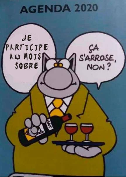 CBVersailles's tweet photo. @Melk_de_Adso @SandraAddictLib @santecool Pour moi c’est #Ledéfidejanvier sans Hésiter ! Le mois sobre c’est les lobbys de l’alcool qui veulent faire passer deux verres par jour comme une norme de consommation, c’est tout simple. https://t.co/N07cqgzcXt