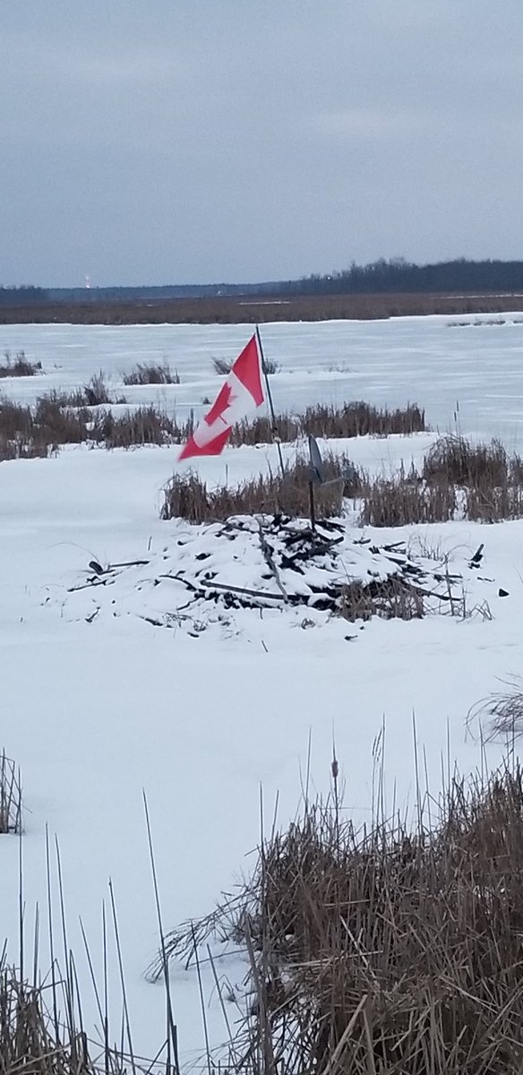 another beauty of a day up in the great white eh
the beaver's got his entertainment setup good to go and everything