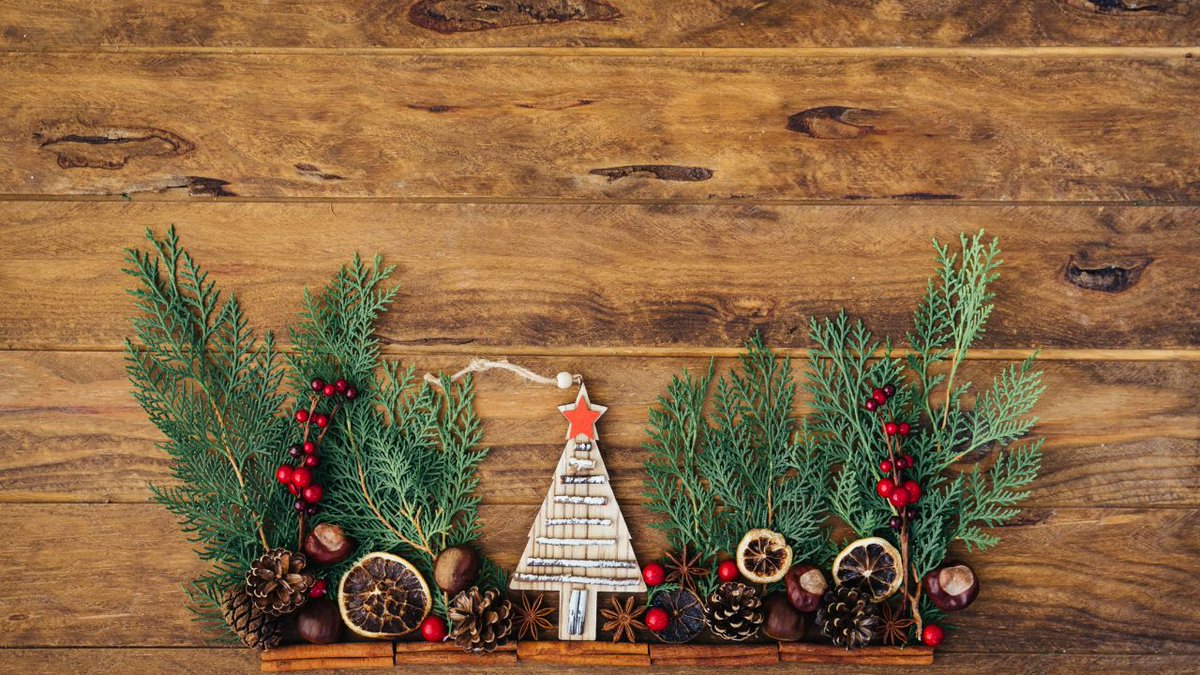 ecoangus's tweet photo. The team at #ecoangus wish all our customers, installers and followers a very merry Christmas. #biomass #biomassboiler #sustainableenergy #woodburningboiler #woodburning #woodburners #smallholders #farmers #woods #renewableheatincentive #renewableheat #heating #rhi #pelletboilers https://t.co/EnV1UBi1FA