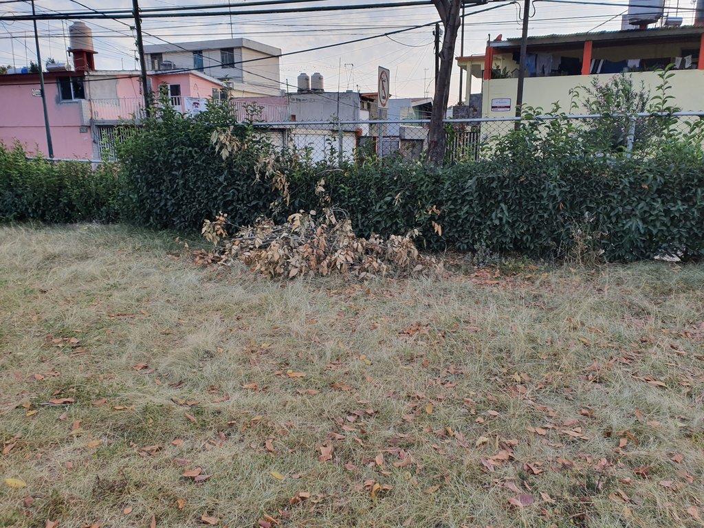 AsocAzul's tweet photo. Solicitamos el retiro de ramas,así como poda y mantenimiento del parque ubicado en 47 poniente, entre 11 sur y priv. Uxmal de la Colonia Reforma Agua Azul, en espera de una pronta respuesta https://t.co/252dFeHcWV