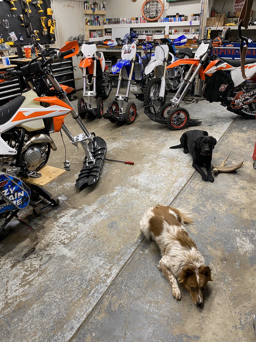 Buildin snowbikes with the pups ain’t to bad😎