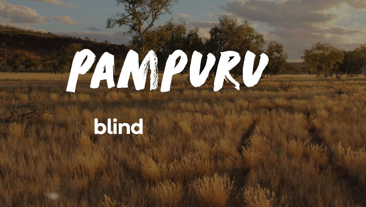 Our Martu #wangka (word) this week is “pampuru”.

The word pampuru comes from “pampurninpa”, the #Martu Wangka verb for touching 🌾👋🏾

#IYIL2019