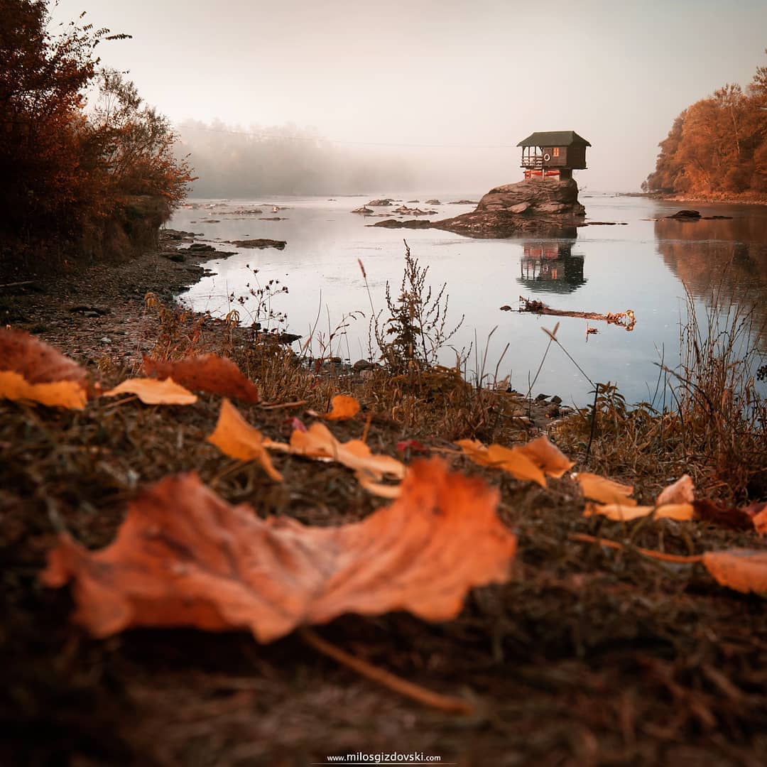 sin dragan i njegovi tvitovi zapratite me on Twitter: "Drina,kuca na ...