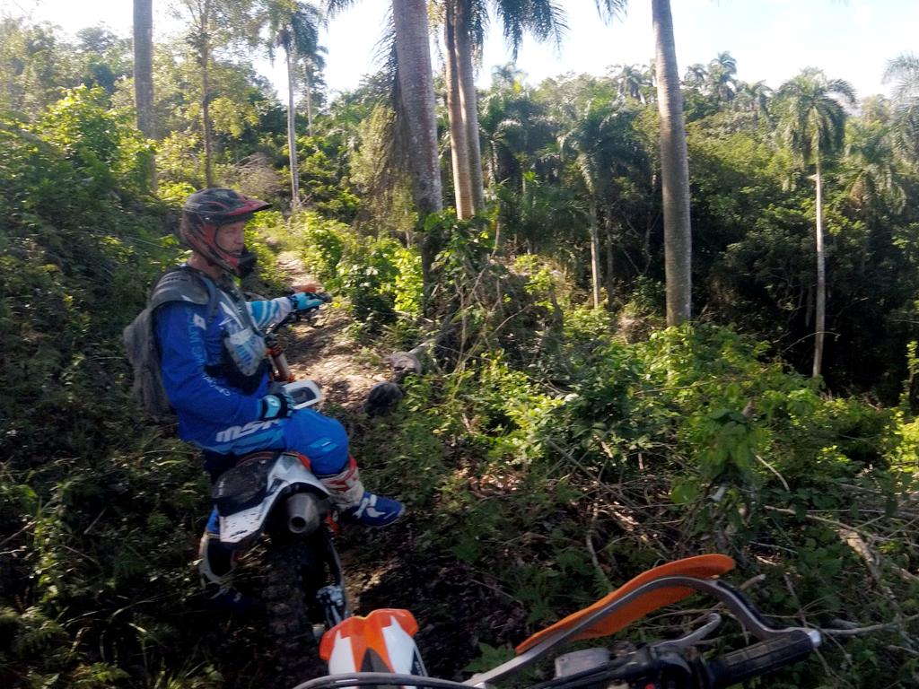 Amazing time spent with great buds riding bikes in Dominican. So lucky to have ridden the same trails as the Pros during <a href="/redbull/">Red Bull</a> Machete Hard Enduro!

#enduro #Racing #hardenduro #pirellination #pirellimx #Pirellimotousa <a href="/tripleclampmoto/">TripleClamp Moto</a> <a href="/betacanada/">Beta Canada</a>