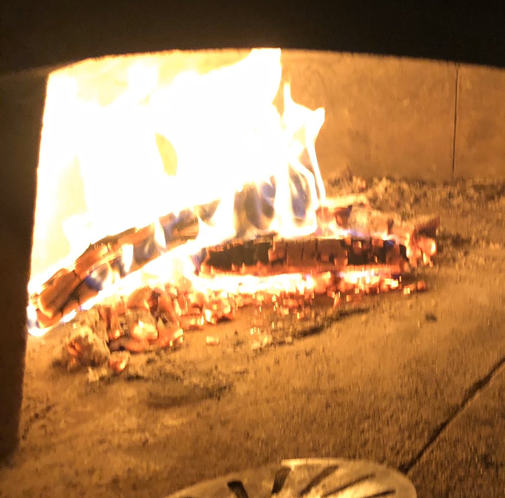 Little Tomato tweet media