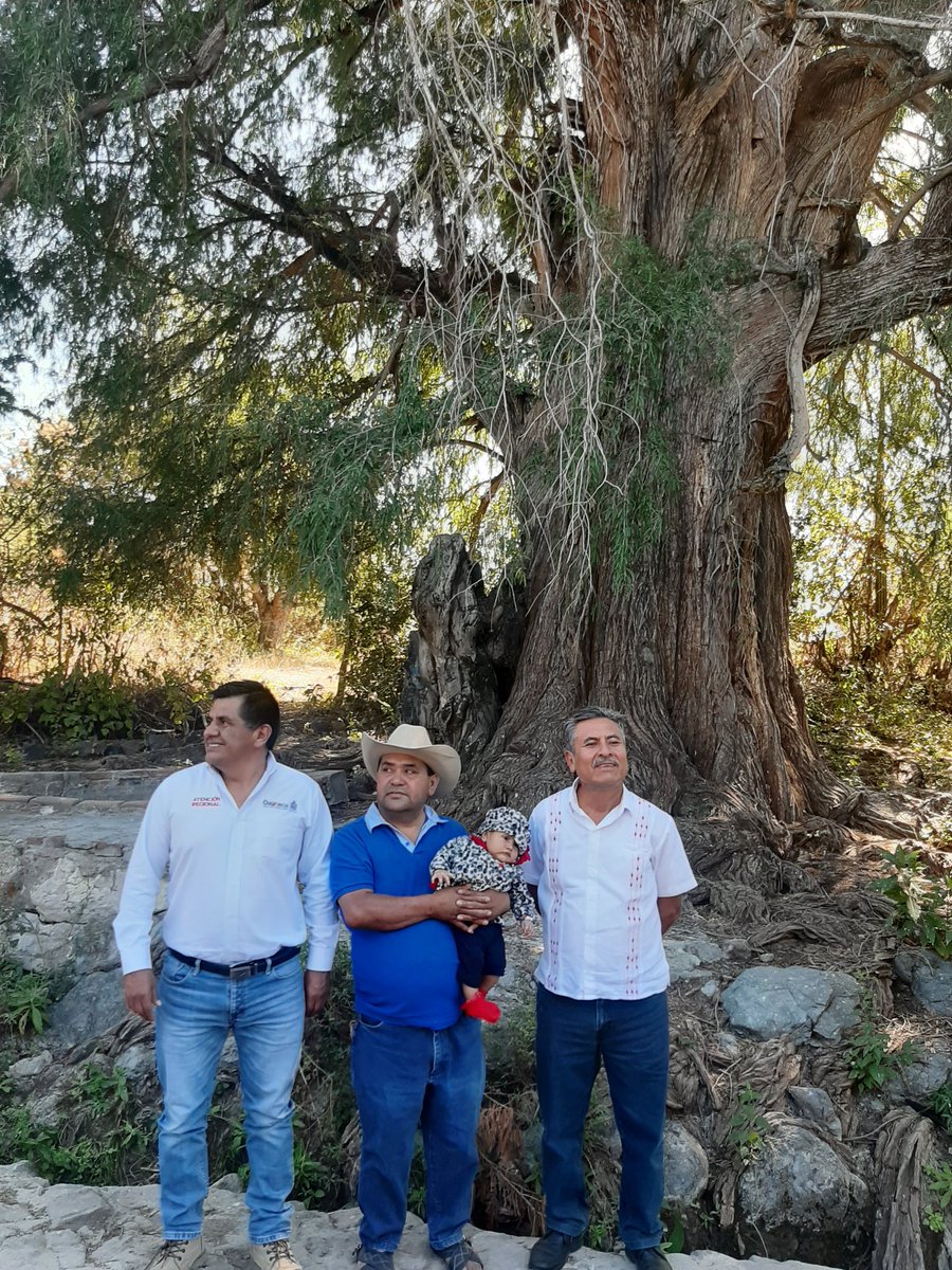 rioax74's tweet photo. Asiste @chucholox delegado regional #Ejutla-#SoladeVega en representación del @GobOax @alejandromurat a la inauguración de apertura de la red eléctrica a cargo del edil de San Martín de los #Cansecos Guadalupe Gonzalo Pérez Santiago. https://t.co/wwEeXuMYm6