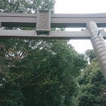 ツイートに含まれる画像