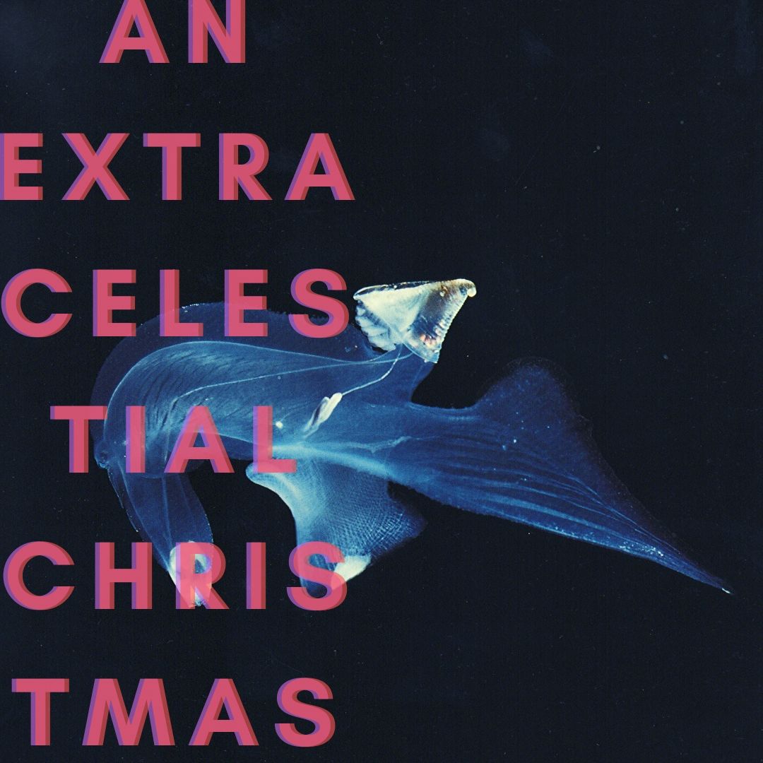 TQXofficial's tweet photo. #AnExtraCelestialChristmas
24/7 365
may all beings be happy

https://t.co/HQhqfGi8ea https://t.co/4SpYmzdiVT