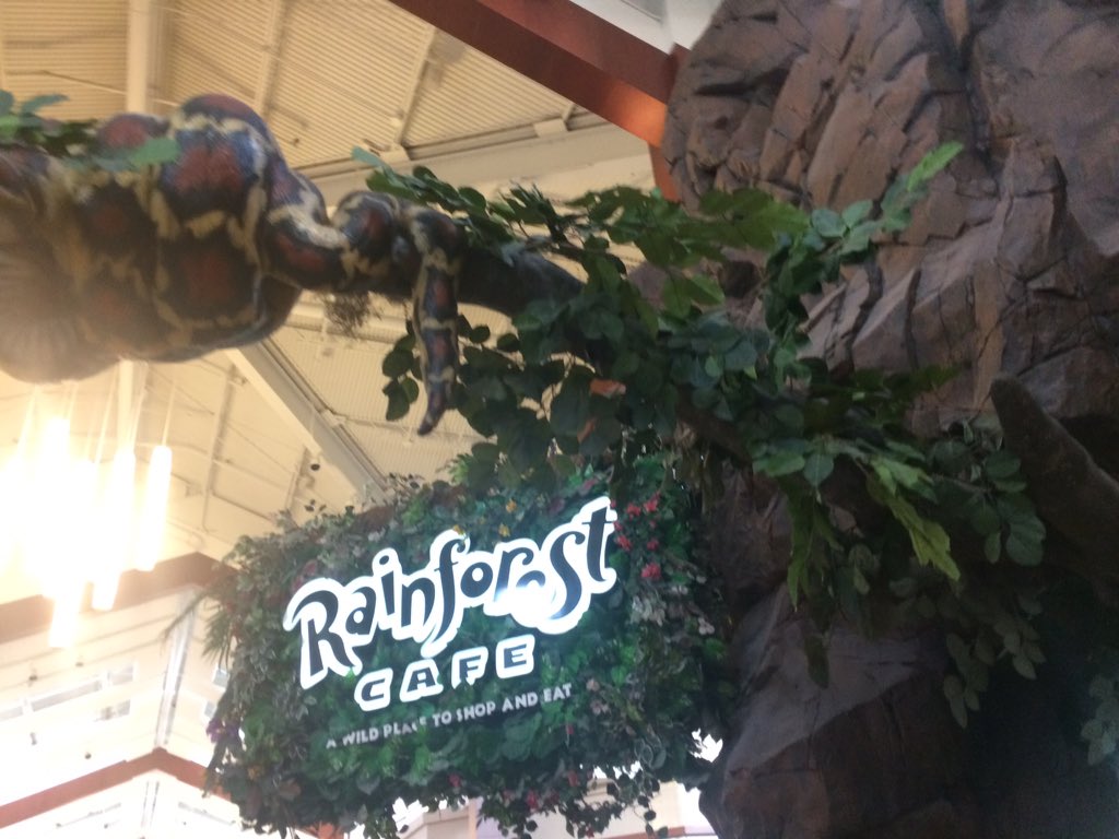 rainforest cafe woodfield mall