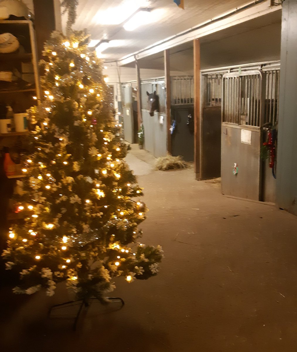 OlleAlsen's tweet photo. Tomten hade varit förbi stallet i natt🎅 eller kan det var världens bästa @mlarsgard?😉👍 #ivarpace #actionlauncher #Mtinsider https://t.co/0QcQYJP1Ku