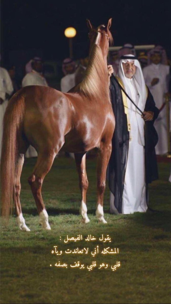 ‏﮼صيته✨ (@setahm2) on Twitter photo 