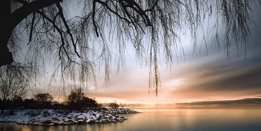 어떤 생각을 하는가가
말을 만들고
어떤 말을 하는가가
행동이 되며

반복된 행동이
습관으로 굳어지면
그것이 바로 인생이
되는 것이다

그러므로
처음에 어떤 생각을
일으키고
어떤 행동을 하는가가
아주 중요하다.
