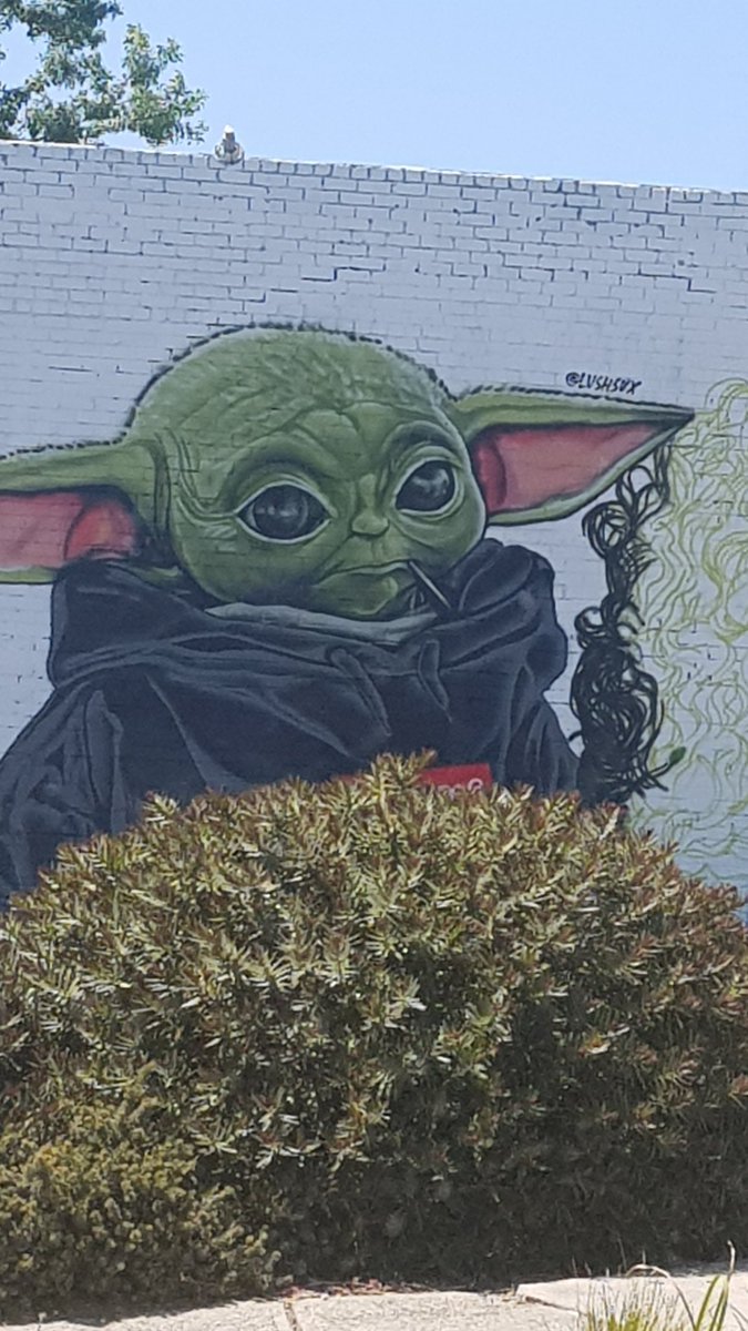 Monkey_Chatter's tweet image. 