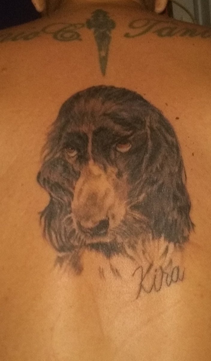 Nunca algum coração foi tão honesto e me revelou tanto carinho e amor como o seu. Kira obrigado por tudo que me proporcionou!!! Amor pra toda vida, amor incondicional, amor maior que Eu...