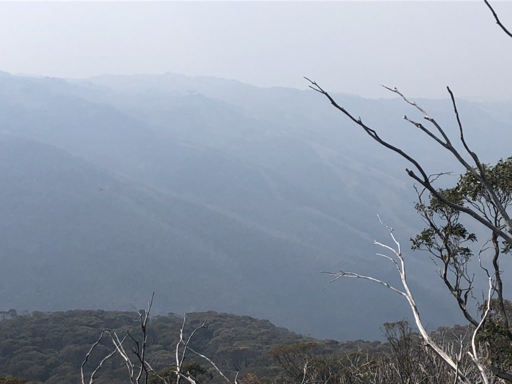 I’ve bush-bashed off trail through scrub to get to this unnamed high point overlooking Australia’s fourth highest peak Mt Ramshead (2190m) and ski slopes of Thredbo through the smoky gloom. Can actually see it all quite clearly myself. Pics kill it. Anyway  #AAWT