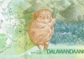 Laiblld's tweet photo. Mga hayop na gusto kong makita ngayong pasko 💟💞💝💘💗💖💕💜💛💚💙❤ https://t.co/m8l3PqtHlm