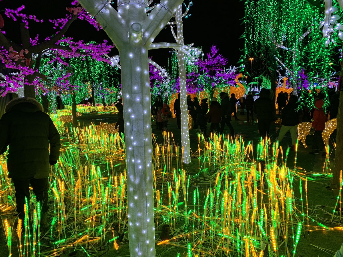 #illumi a great creation! Worth the visit in #Laval! #montreal #lights #christmas #winter