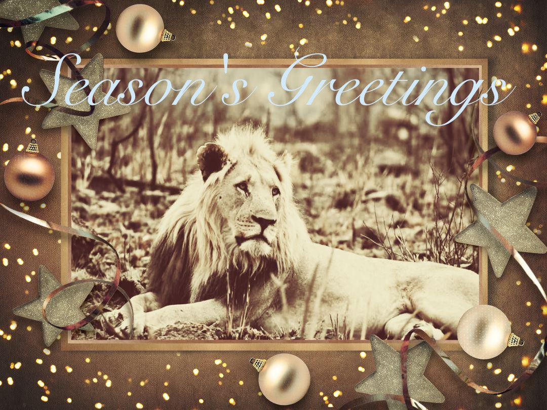 GnGJourneys's tweet photo. Season's Greetings from @GnGJourneys https://t.co/wS4J7gBPus