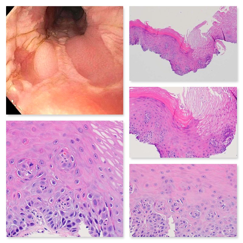 South Bay Pathology tweet media