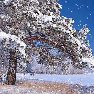 Marcellinav's tweet image. What is Christmas? It is tenderness for the past, courage for the present, hope for the future. It is a fervent wish that every cup may overflow with blessings rich and eternal, and that every path may lead to peace. ~Agnes M. Pahro

Fijne feestdagen en een mooi en gelukkig 2020