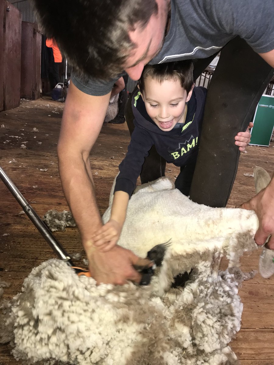 BoongalaAg's tweet photo. The youngest apprentice turned 5 today. Just before Santa arrives! Has been a challenging year with the dry but the little fella has been by my side as always trying to help and constantly reminding me of why we do what we do. https://t.co/A0hh3stM3Q
