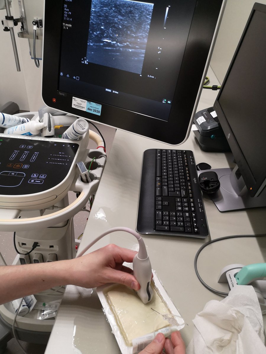 RookBram's tweet photo. De sleutel tot succes is goede voorbereiding! En een blok tofu!😋 #POCUS https://t.co/xl3tJcjtAt