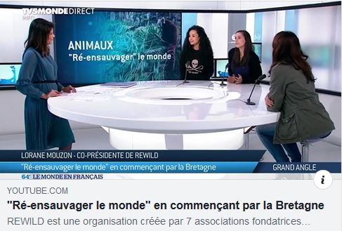 Retrouvez le replay de <a href="/TV5MONDE/">TV5MONDE</a> <a href="/TV5MONDEINFO/">TV5MONDE Info</a> diffusé en direct hier avec <a href="/CrosmaryPerrine/">Perrine Crosmary</a> Lamya Essemlali et Lorane Mouzon, présidentes de <a href="/Rewild_rescue/">Rewild</a> venues présenter le projet #Rewild
<a href="/SeaShepherdFran/">Sea Shepherd France</a> <a href="/hugoclement/">Hugo Clément</a> 
youtube.com/watch?v=1jsUUU…
