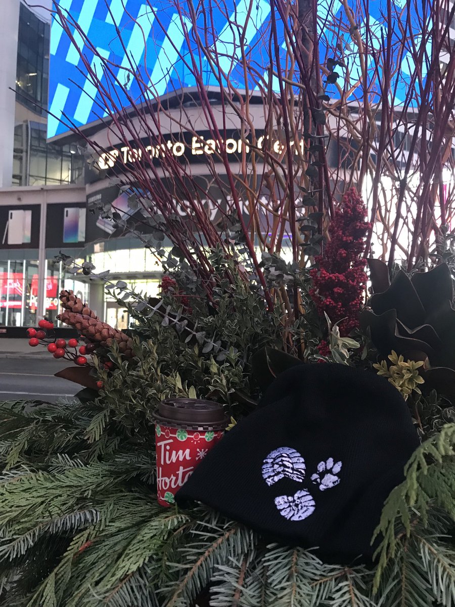 hi_sight's tweet photo. A highlight of 2019 - presenting in Toronto, Canada 🇨🇦 at #Link2019 and a first #timhorton coffee - Merry Christmas from Hidden-in-Sight 🐾🎄 https://t.co/7PRUm4Oqmp
