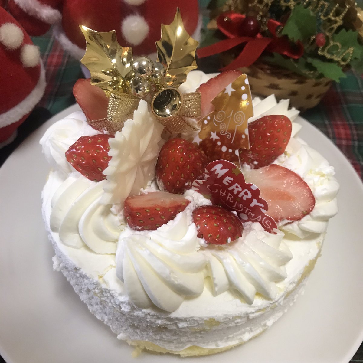 miwa244_2's tweet photo. Dear Masahiro💙
Dear Takuya❤️
Dear Goro💖
Dear Tsuyoshi💛
Dear Shingo💚
Dear NAKAMA💝

May all of your Christmases be in beautiful harmony!!

🎄慎吾のケーキすごくおいしいね🎄

#SMAP_forever   
#Reiwaは英語でbeautiful_harmony 
#慎吾ケーキのパッケージにもbeautiful_harmony https://t.co/i2MaRODL7G