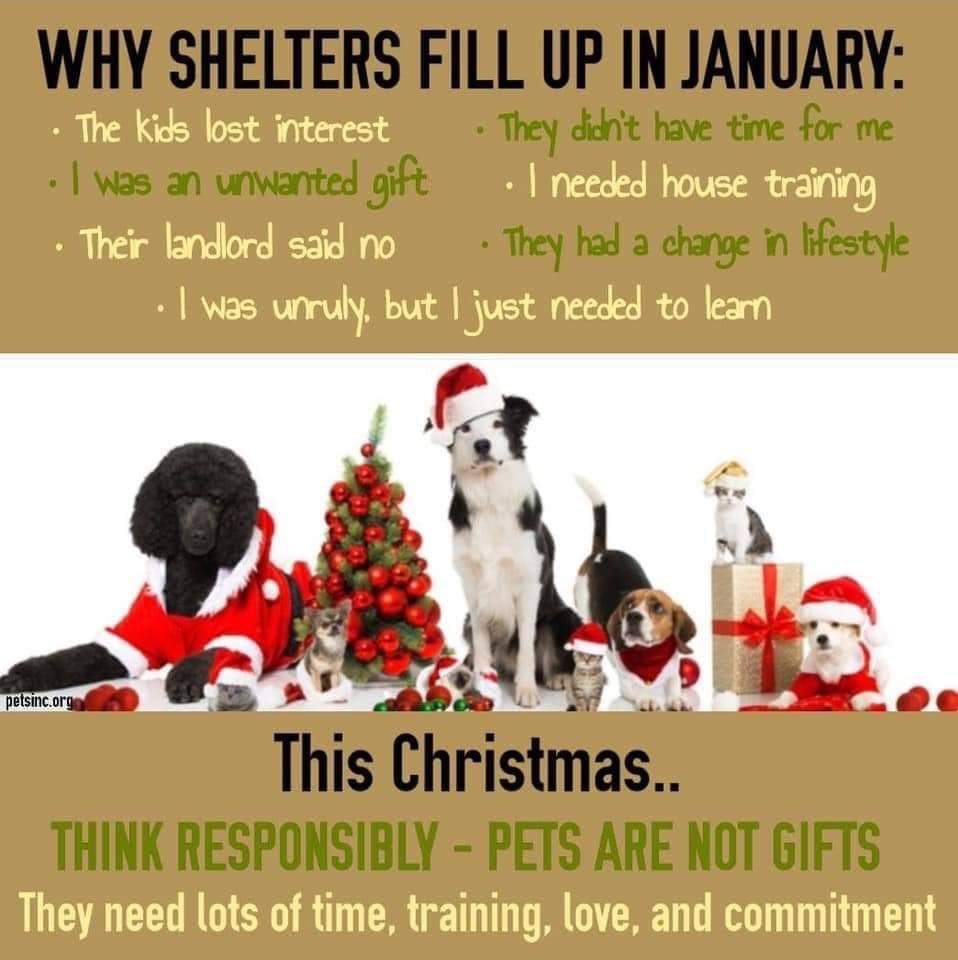 Eden Animal Rescue (@earanimalrescue) on Twitter photo 