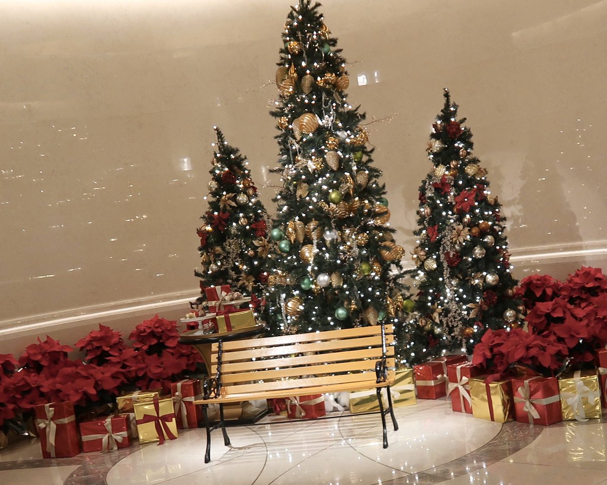 こんにちは♪

いつも♡&amp;RT&amp;フォロー
ありがとうございます🍄
お返事 お返しetc.....
追い付かず ごめんなさい

今日はこの後 お出掛けします
家族の行事ごと…🎄
なので 夜のご挨拶は
お休みさせて頂きますm(*_ _)m

素敵なクリスマス・イブ🎄を
☆.。.:*・°☆.。.:*・°☆.。.:*・