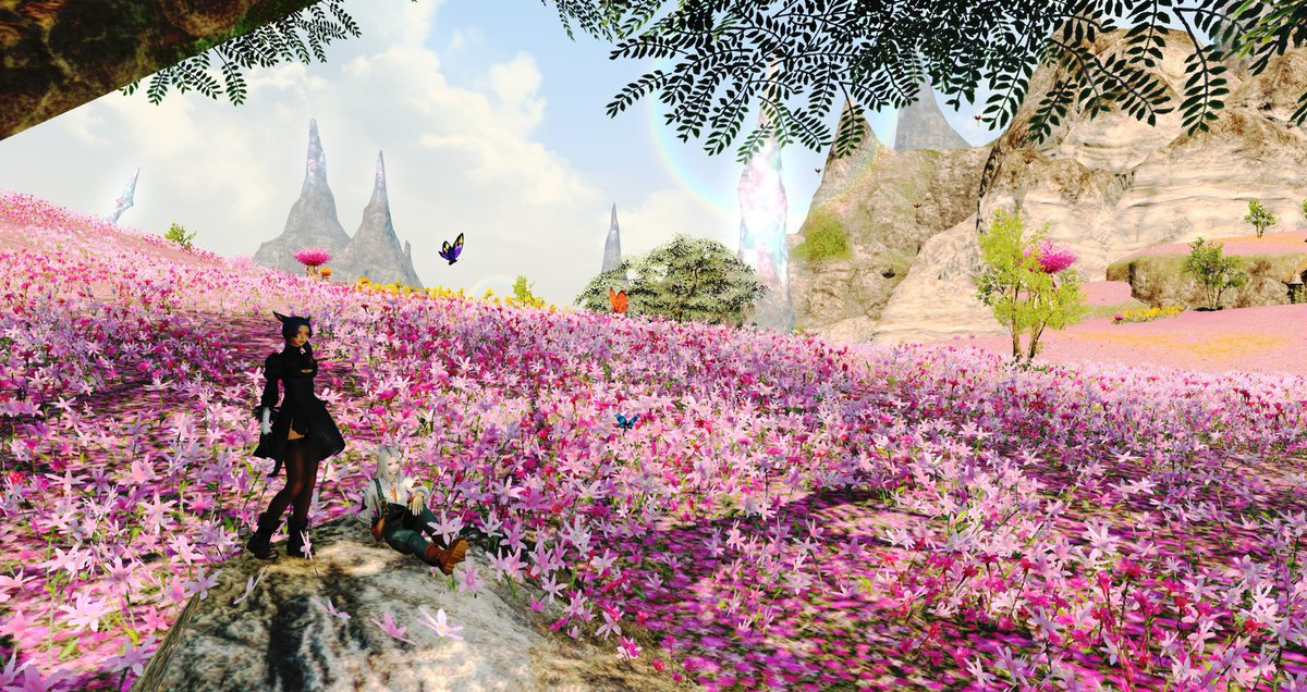 Mollyyy_Maee's tweet photo. ๐ธ Such an appreciation for this place #ffxiv #SHADOWBRINGERS #miqote #llmeg #GPOSERS https://t.co/a1MhpltocP