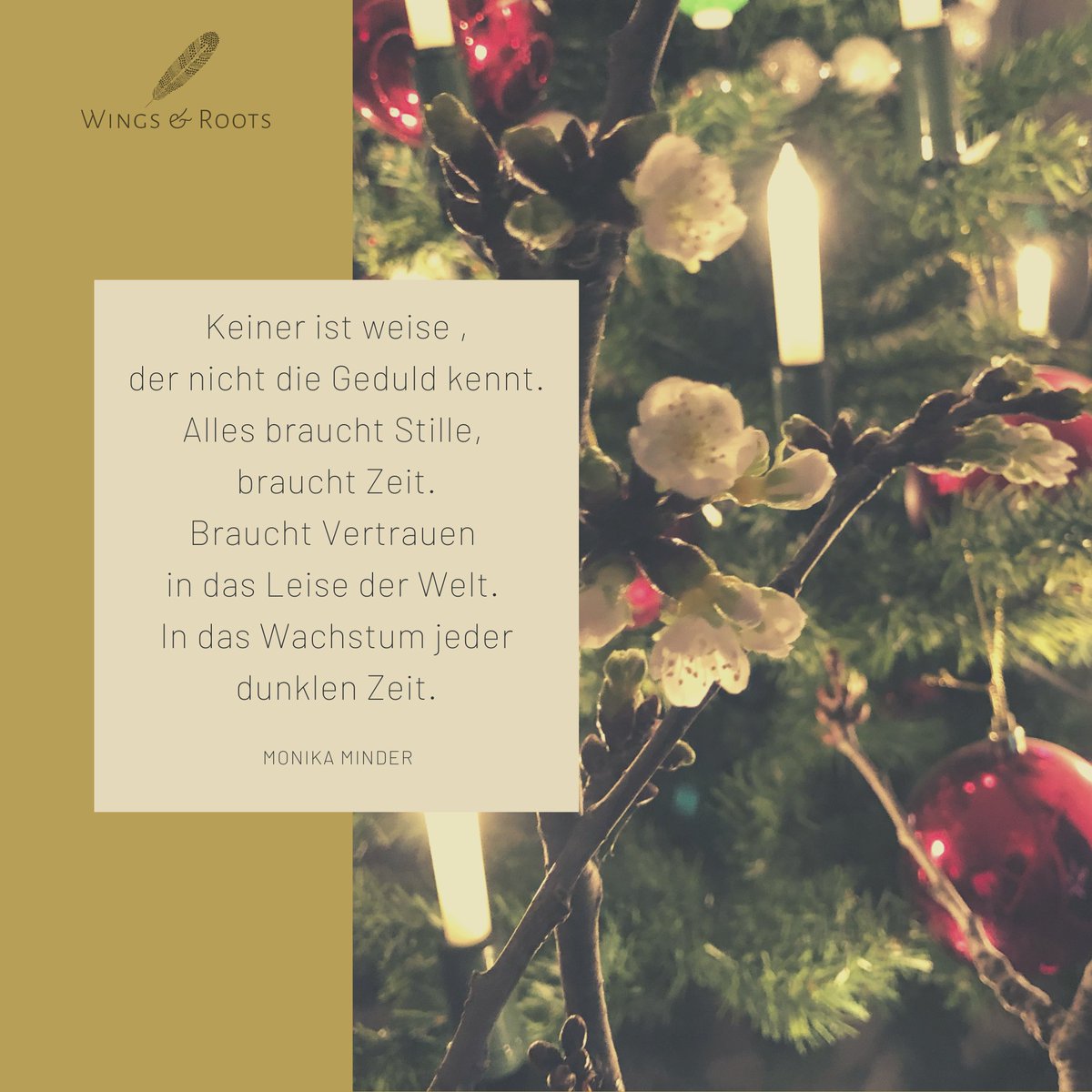 24. Dezember
Heiligabend
Fest der Liebe
Fest der Hoffnung
Der Barbarazweig, am 4. Dezember bei klirrender Kälte gepflückt, nach Hause getragen.
#barbarazweig #barbaratag #heiligabend #weihnachten #wingsandroots #festderliebe #glück #hoffnung #nidau #biel #brauchtum #weisefrauen