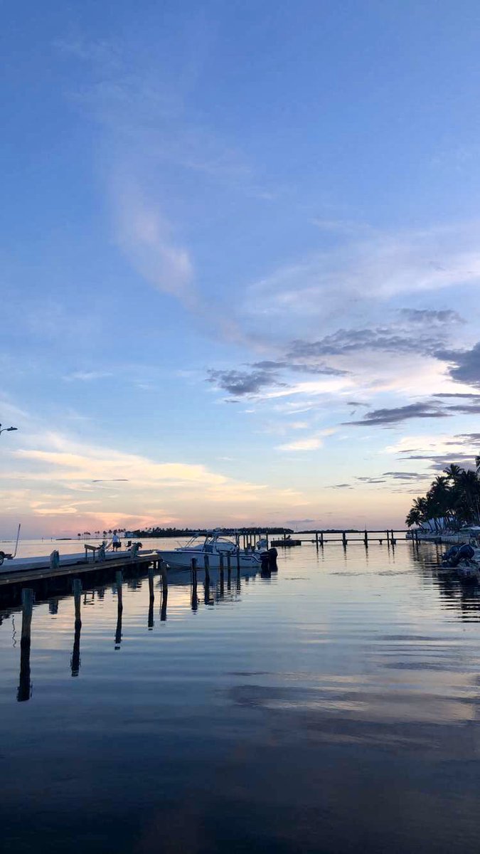 ash_lora's tweet image. Cotton candy Miami skiiiies #messit